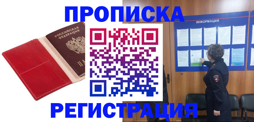 прописка в квартире в Сольцах